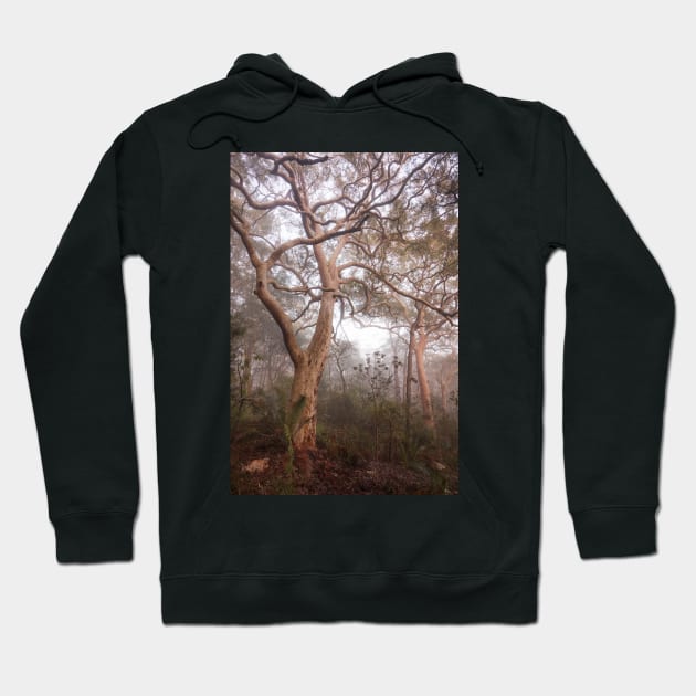 Branches Hoodie by Geoff79